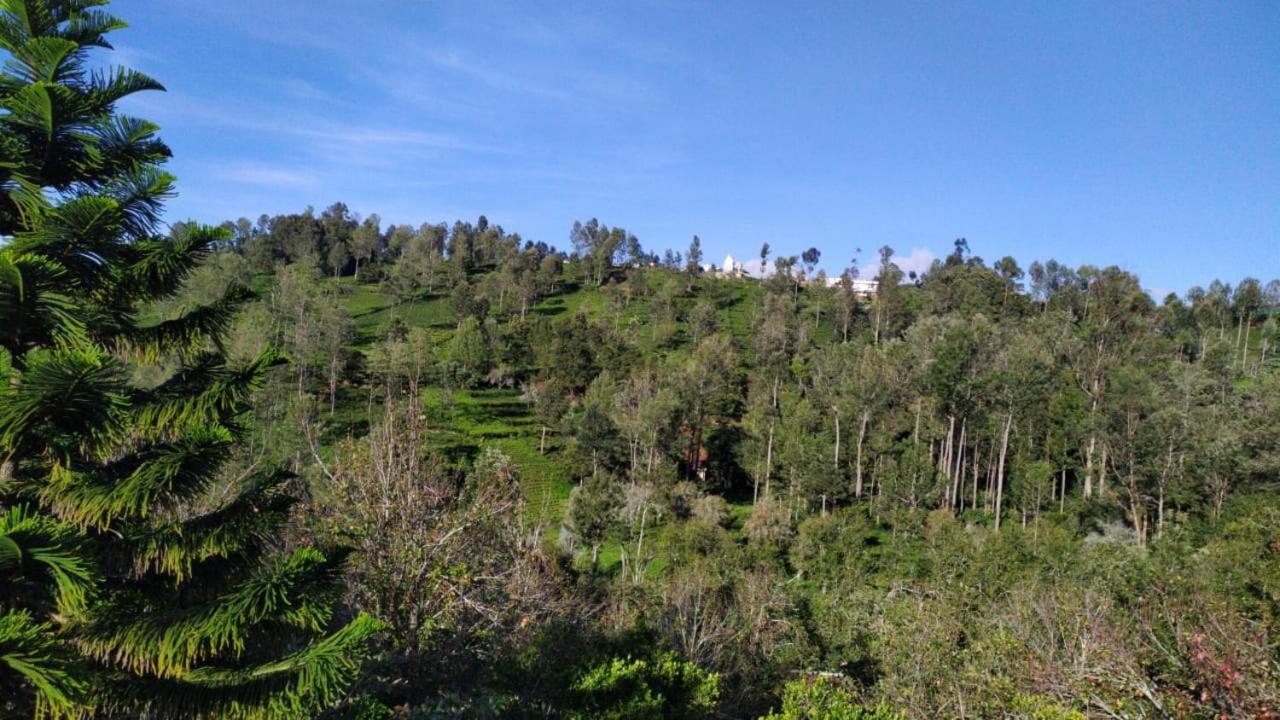 Silver Spruce Entire Nature Villa Kotagiri Exterior foto